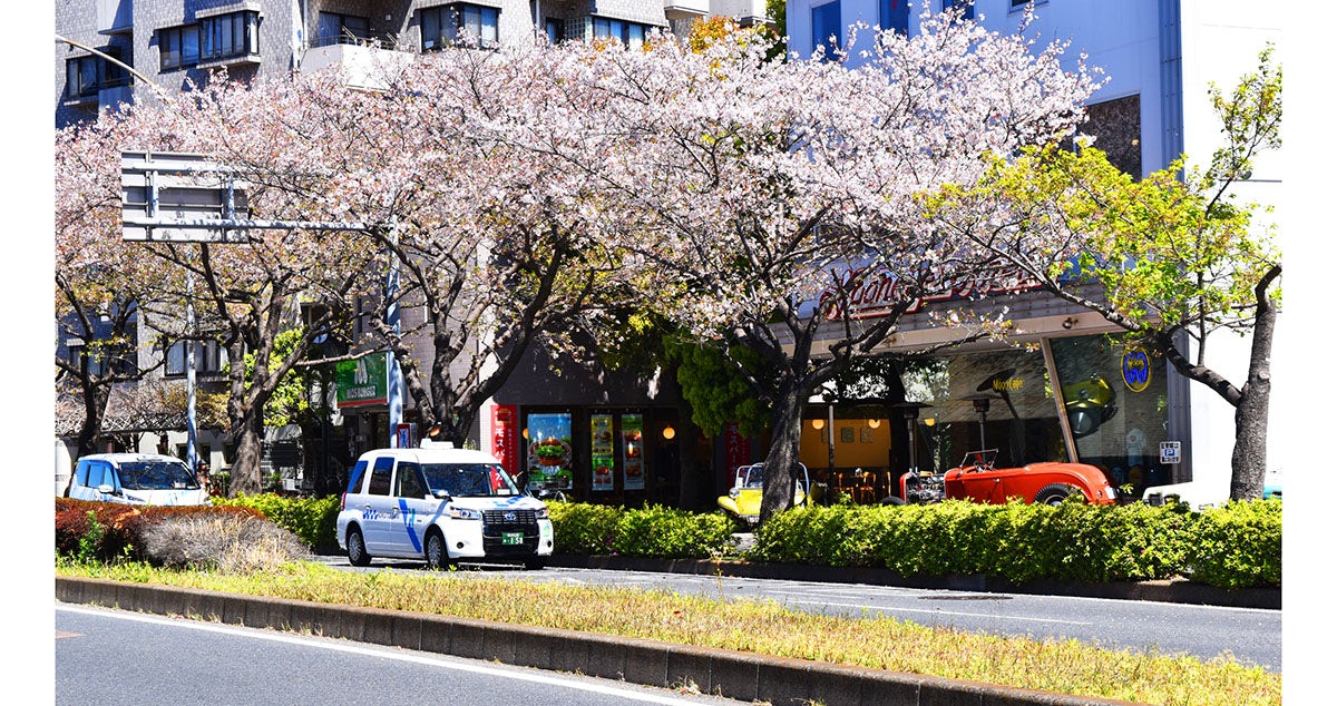 北斗タクシー 株式会社の画像5枚目