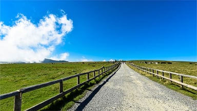 鳥取県教育委員会 鳥取県立倉吉農業高等学校の画像