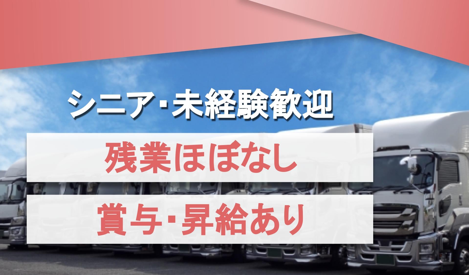 株式会社 PIEXの画像